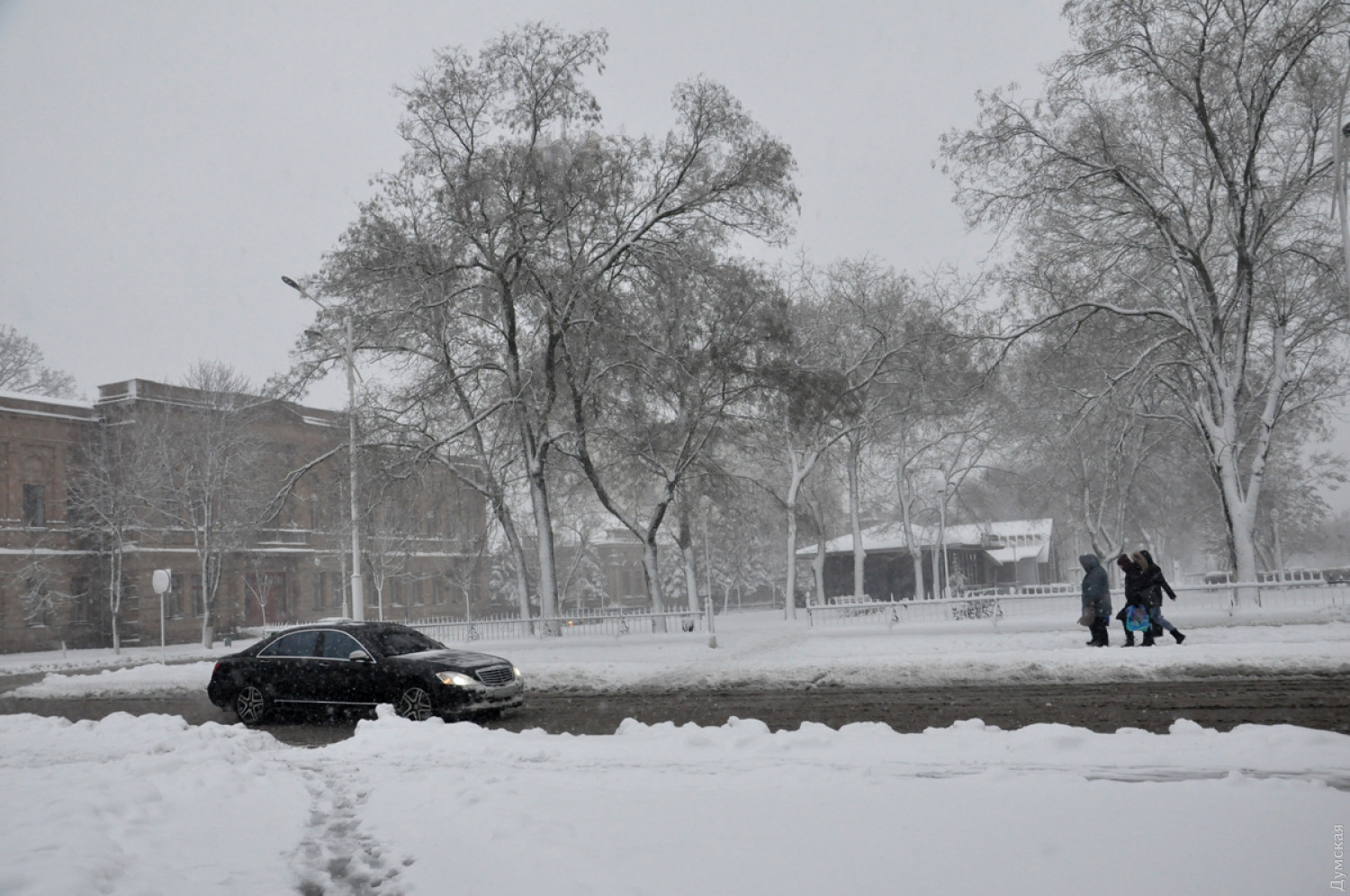 всемирный день снега открытки. явление снег. через 3 дня снег. дождь со снегом в москве. через 3 дня снег.